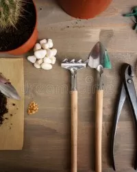 ΕΡΓΑΛΕΙΑ